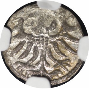 Sigismund II Augustus, Denar, 1557, Elbląg—beautiful