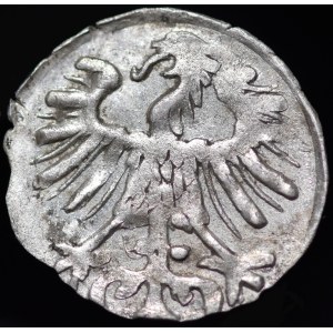 Zikmund II. August, denár z roku 1557, Vilnius