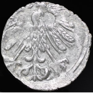 Zygmunt II. August, denár z roku 1558, Vilnius