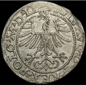 Sigismund II Augustus, Half-Grosz, 1564, Vilnius—Crowned Eagle—Rare