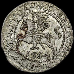 Sigismund II Augustus, Half-Grosz, 1564, Vilnius—Crowned Eagle—Rare