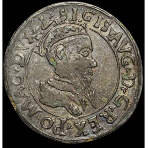 Sigismond II Auguste, série « Czworak » de 1569, Vilnius – Contrefaçon – rare