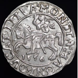 Sigismund II Augustus, Half-Grosz, 1556, Vilnius - L/LITVA - variant