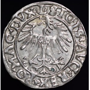 Sigismund II Augustus, Half-Grosz, 1556, Vilnius - L/LITVA - variant