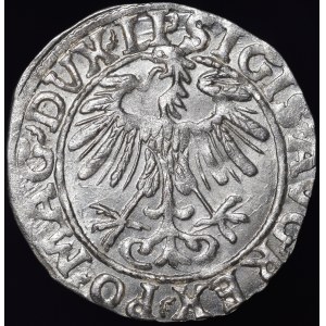 Zygmunt II. August, polgroš z roku 1557, Vilnius – LI/LITVA