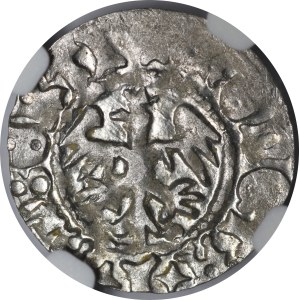 Jan I Olbracht, Półgrosz Kraków - Poraj - piękny