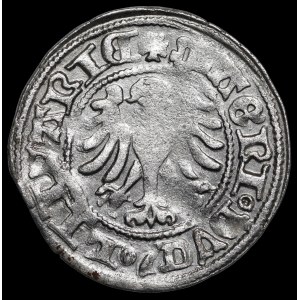 Alexander Jagiellon, Vilnius Half-Groschen – Gothic – mirrored D – very rare