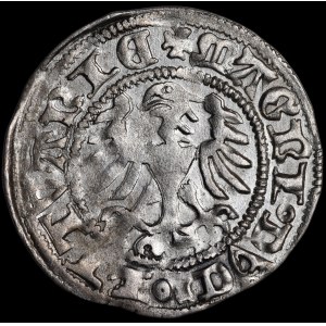 Alexander Jagiellon, Vilnius Half-Grosz – Gothic – 3rd Issue