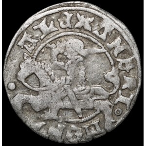 Alexander Jagiellon, Vilnius Half-Grosz — Renaissance/Gothic — 5th issue — very rare