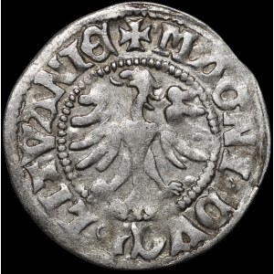 Alexander Jagiellon, Vilnius Half-Grosz - Renaissance - 8th Issue