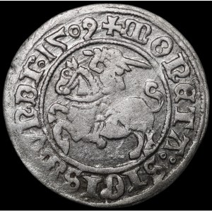 Zygmunt I Stary, Półgrosz 1509, Wilno - Pogoń bez pochwy