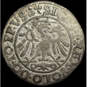 Sigismund I the Old, Grosch, 1540, Elbląg