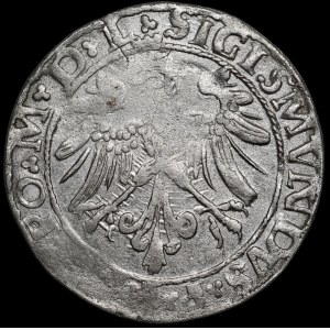 Sigismund I the Old, grosz, 1535, Vilnius—letter N—L/LITV—very rare