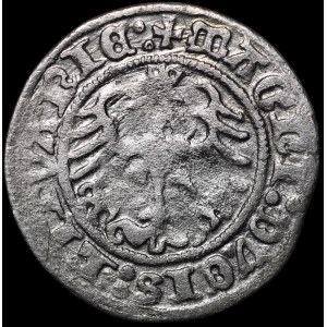 Sigismund I the Old, Half-Grosz, 1513, Vilnius – Ring above Pogoń – colons – rare