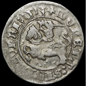 Sigismund I. der Alte, Halbgroschen 1513, Vilnius – Vollständiges Datum – selten