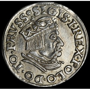 Zygmunt I. Starý, Trojak z roku 1537, Gdaňsk