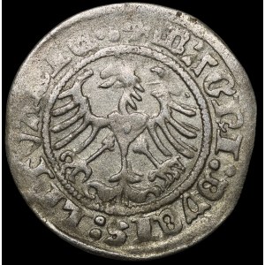Sigismund I the Old, Half-grosz, 1516, Vilnius—Rings above and below the Pogoń—very rare