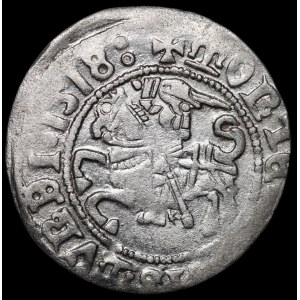 Zygmunt I Stary, Półgrosz 1518, Wilno - błąd MONTEA - rzadki