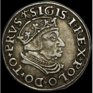 Sigismund I the Old, Trojak 1538, Gdańsk - variant