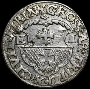 Sigismund I the Old, Trojak 1536, Elbląg