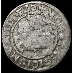 Zygmunt I Stary, Półgrosz 1520, Wilno - błąd SIGISMVANDI∙5Z0 - b. rzadki