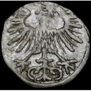 Zygmunt II August, Denar 1556, Wilno