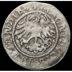 Zygmunt I Stary, Półgrosz 1523, Wilno - błąd LITVANDIE - b. rzadki
