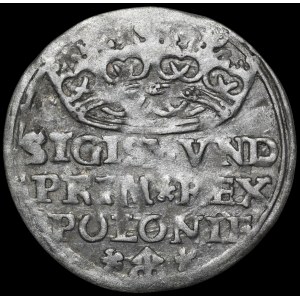 Zikmund I. Starý, groš z roku 1529, Krakov