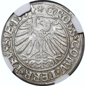 Sigismund I the Old, 1534 groszy, Toruń—with a crown