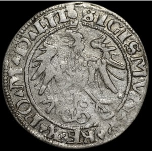 Zygmunt I Stary, Grosz 1536, Wilno - litera I - LIT/LITVA - rzadki