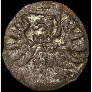 Sigismund II Augustus, Denar, 1556, Elbląg
