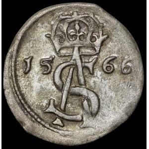 Sigismondo II Augusto, moneta da 2 denari, 1566, Vilnius