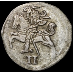 Sigismondo II Augusto, moneta da 2 denari, 1566, Vilnius