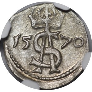 Zygmunt II August, Dwudenar 1570, Wilno