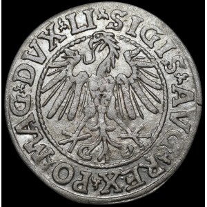 Sigismund II Augustus, Half-Groschen, 1546, Vilnius—later type of the Eagle—LI/LITV—rare