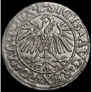 Sigismondo II Augusto, mezzo groschen del 1547, Vilnius - L/LITVA - raro