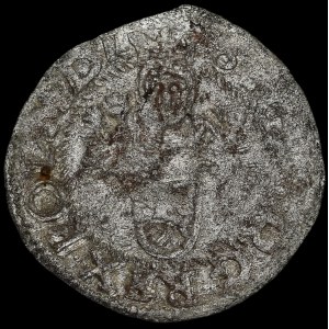 Zygmunt III Waza, Szeląg 1598, Wschowa - b. rzadki