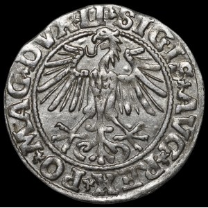 Sigismund II. August, Halbgroschen 1549, Vilnius – 9 Pogoń, LI/LITVA – wunderschön