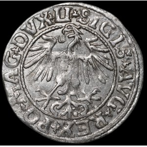 Sigismond II Auguste, demi-groat de 1549, Vilnius - 9 Pogoń, LI/LITVA