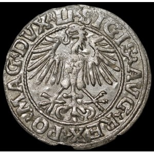 Sigismund II. August, Halbgroschen 1549, Vilnius – 9 Pogoń, LI/LITVA