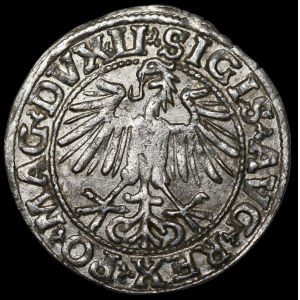 Sigismund II. August, Halbgroschen 1549, Vilnius – 10 Pogoń, LI/LITVA