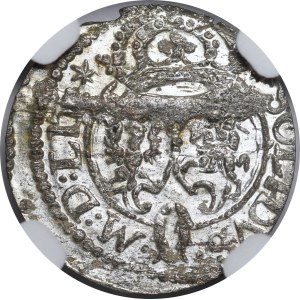 Zygmunt III. Vasa, šelág z roku 1623, Vilnius – Z-3 – vzácnější a krásný