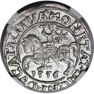 Sigismondo II Augusto, mezzo grosz del 1556, Vilnius - L/LITVA - bellissimo