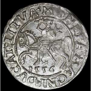 Sigismund II Augustus, Half-Grosz, 1556, Vilnius - L/LITVA