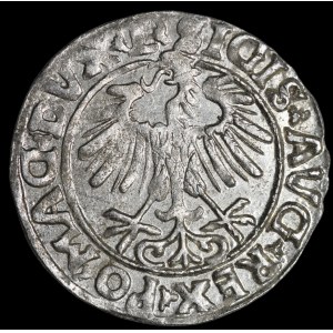 Sigismund II Augustus, Half-Grosz, 1556, Vilnius - L/LITVA
