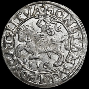 Sigismund II Augustus, Half-Grosz, 1556, Vilnius - LI/LITVA - variant - beautiful