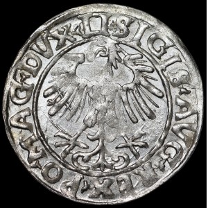 Sigismund II Augustus, Half-Grosz, 1556, Vilnius - LI/LITVA - variant - beautiful