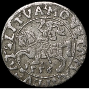 Sigismund II Augustus, Half-Groschen 1556, Vilnius - L/LITVA - MANI error - rare