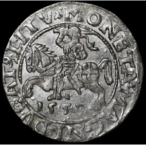 Sigismond II Auguste, demi-groschen de 1557, Vilnius - L/LITV