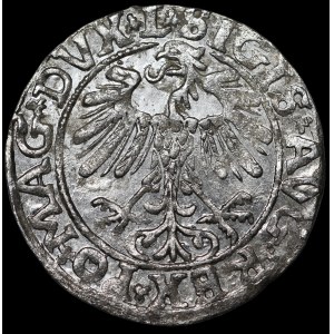 Sigismond II Auguste, demi-groschen de 1557, Vilnius - L/LITV